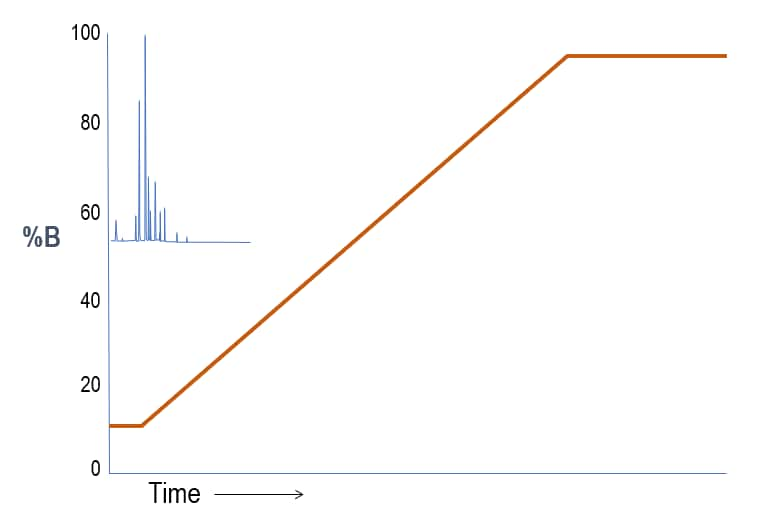 hplc-screening-gradients