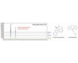 Rapid Equilibration Even with Low Ionic Strength Acidic Mobile Phases