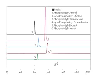 Analysis Examples Phospholipid classes
